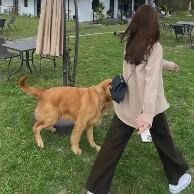 不被承认的存在